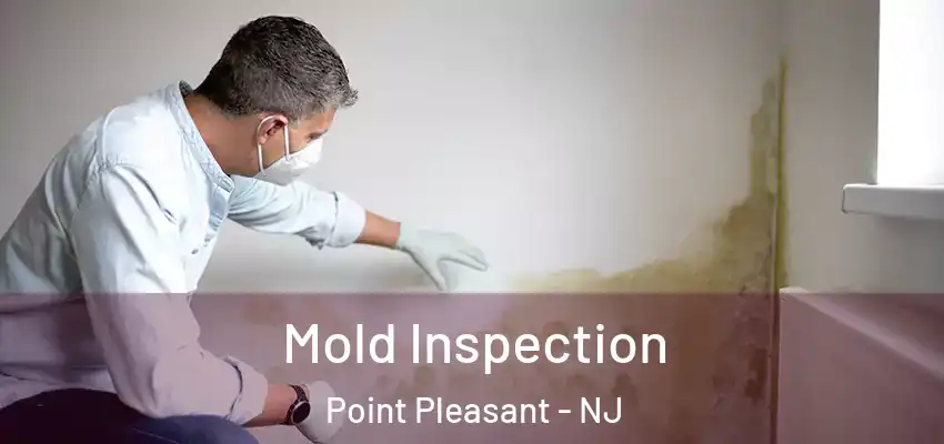 Mold Inspection Point Pleasant - NJ