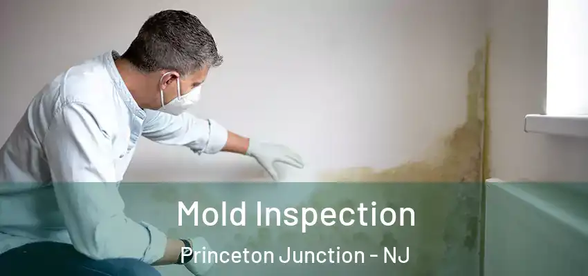 Mold Inspection Princeton Junction - NJ