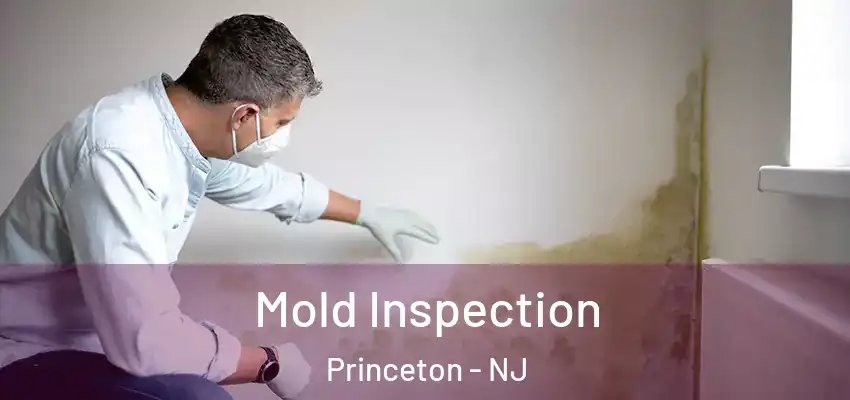 Mold Inspection Princeton - NJ