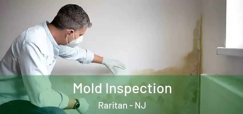  Mold Inspection Raritan - NJ