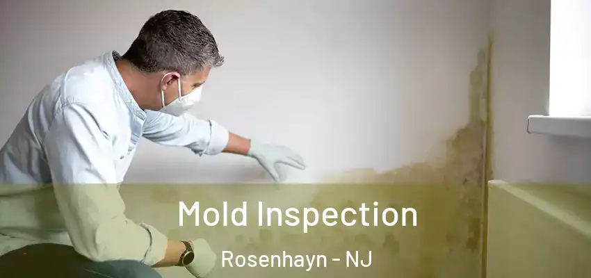 Mold Inspection Rosenhayn - NJ