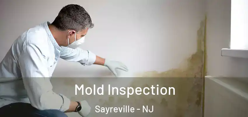  Mold Inspection Sayreville - NJ