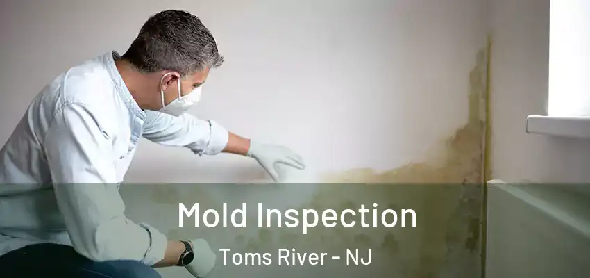 Mold Inspection Toms River - NJ