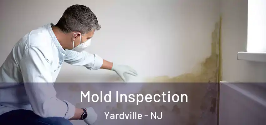 Mold Inspection Yardville - NJ