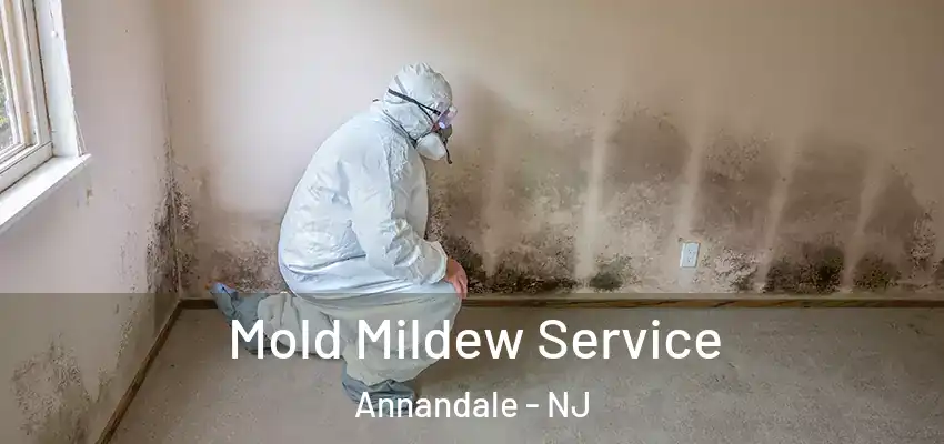 Mold Mildew Service Annandale - NJ