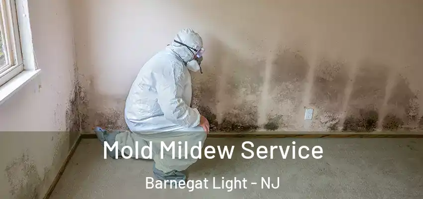 Mold Mildew Service Barnegat Light - NJ