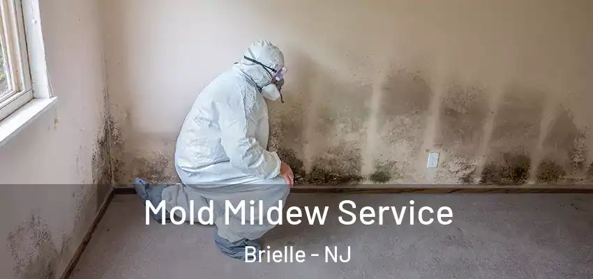  Mold Mildew Service Brielle - NJ