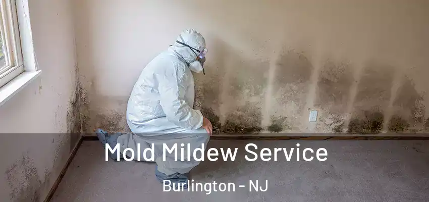 Mold Mildew Service Burlington - NJ