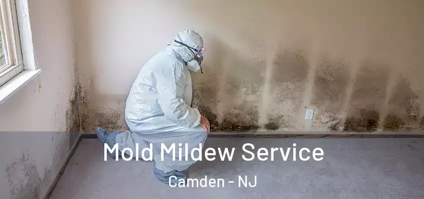 Mold Mildew Service Camden - NJ