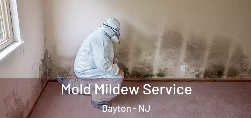 Mold Mildew Service Dayton - NJ