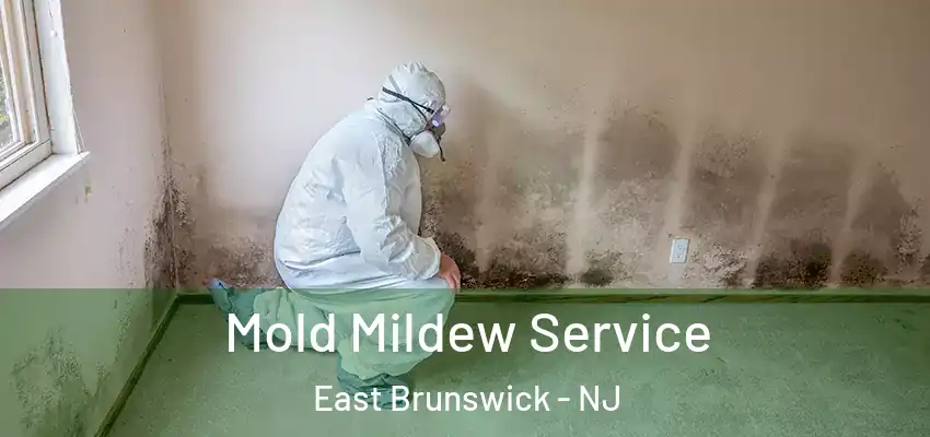 Mold Mildew Service East Brunswick - NJ