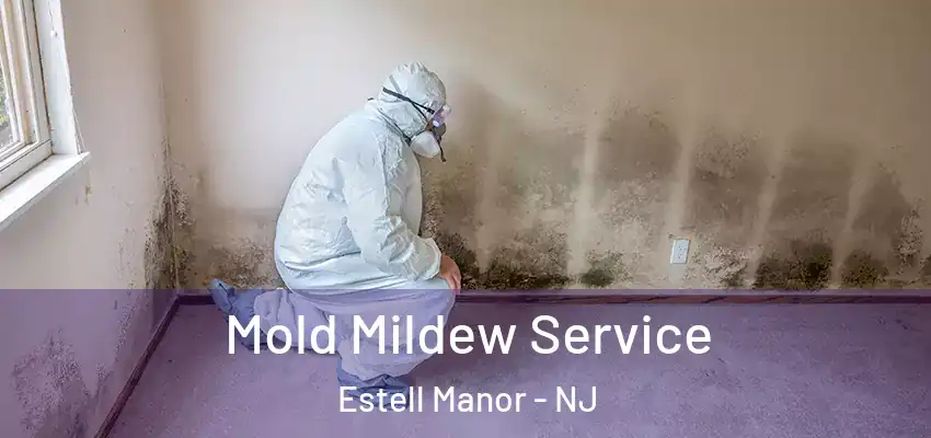 Mold Mildew Service Estell Manor - NJ