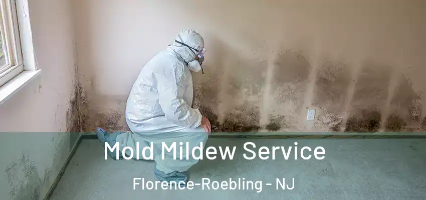 Mold Mildew Service Florence-Roebling - NJ