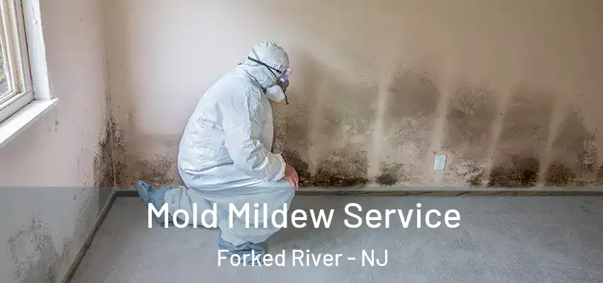  Mold Mildew Service Forked River - NJ