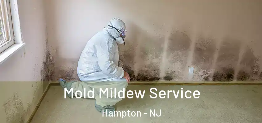  Mold Mildew Service Hampton - NJ