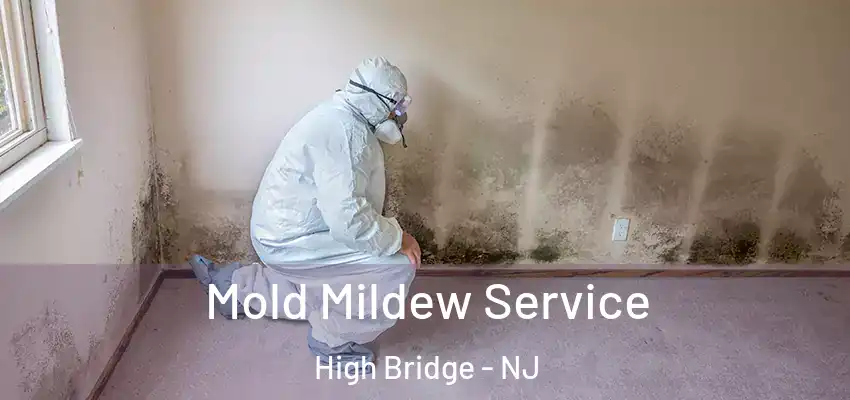Mold Mildew Service High Bridge - NJ