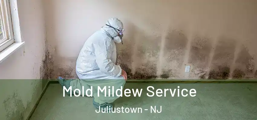 Mold Mildew Service Juliustown - NJ