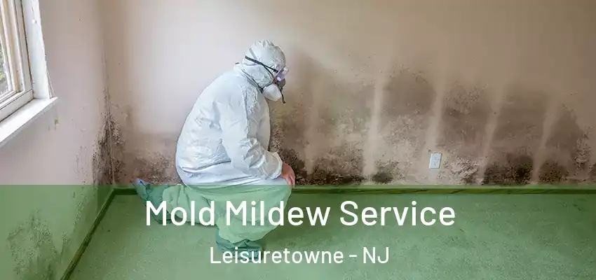  Mold Mildew Service Leisuretowne - NJ