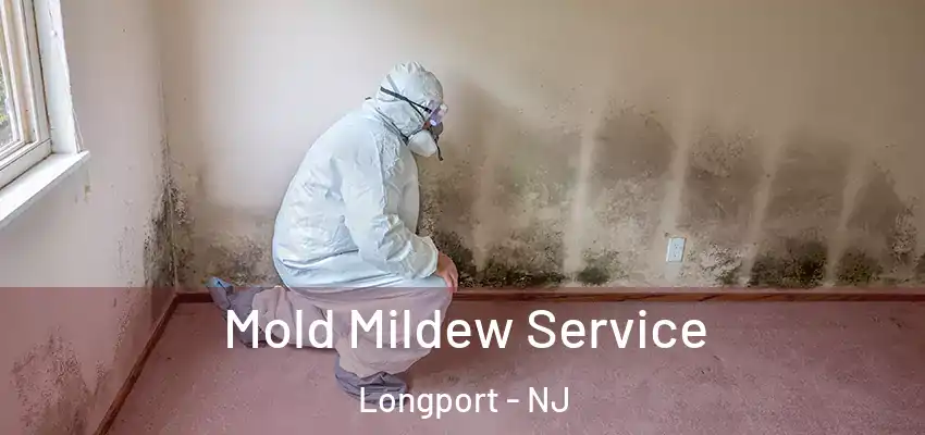 Mold Mildew Service Longport - NJ
