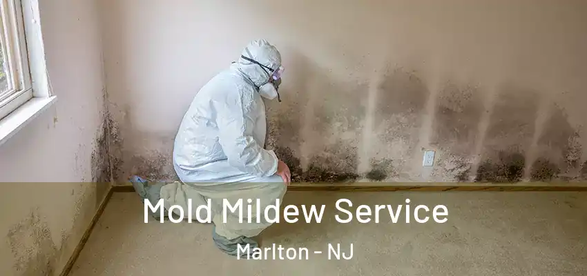 Mold Mildew Service Marlton - NJ