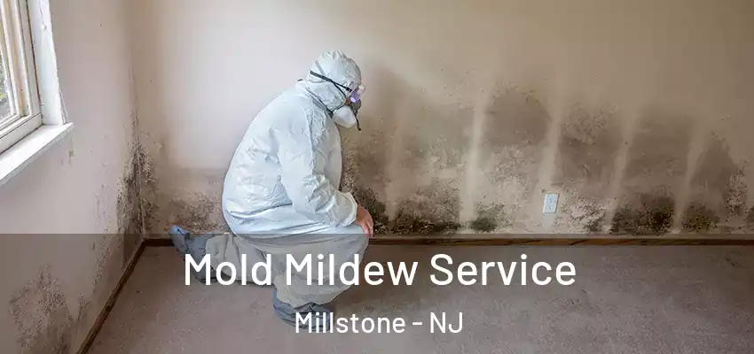  Mold Mildew Service Millstone - NJ