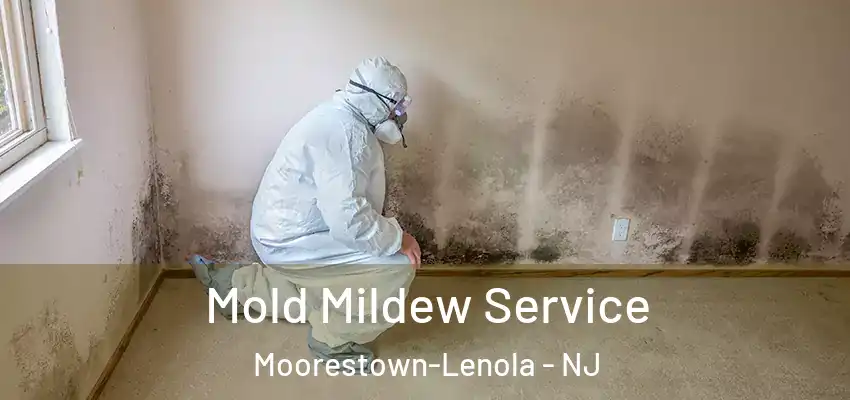  Mold Mildew Service Moorestown-Lenola - NJ