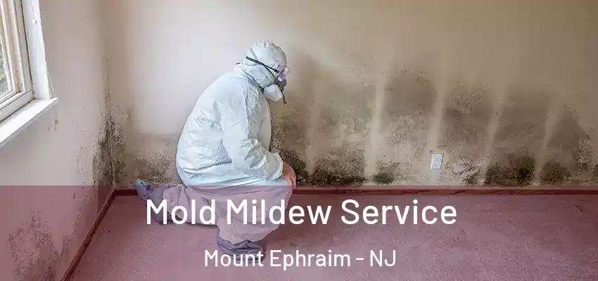  Mold Mildew Service Mount Ephraim - NJ