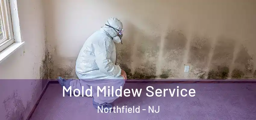 Mold Mildew Service Northfield - NJ