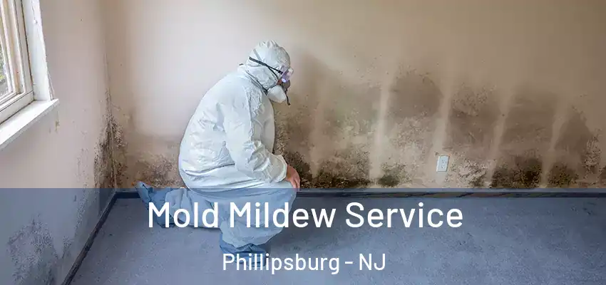 Mold Mildew Service Phillipsburg - NJ