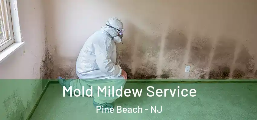 Mold Mildew Service Pine Beach - NJ