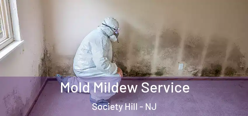 Mold Mildew Service Society Hill - NJ