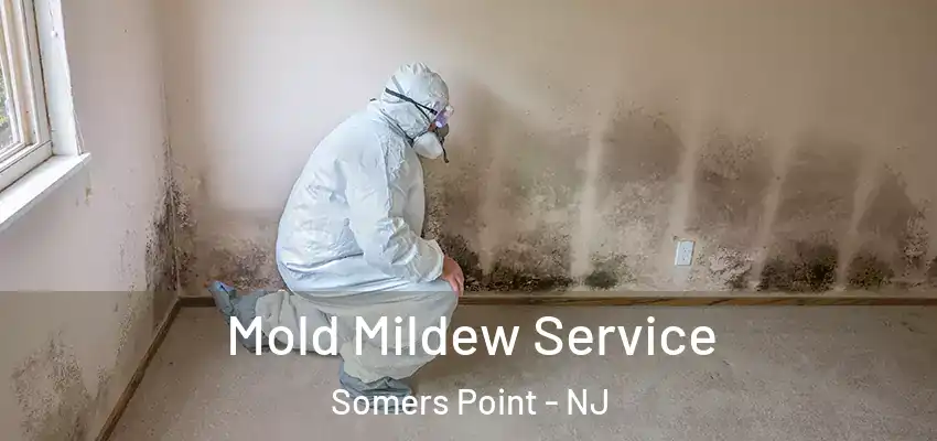 Mold Mildew Service Somers Point - NJ