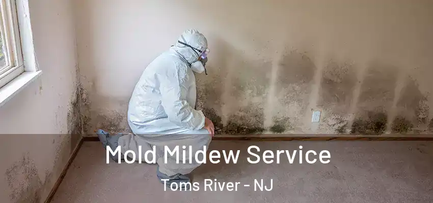  Mold Mildew Service Toms River - NJ