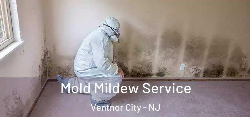Mold Mildew Service Ventnor City - NJ