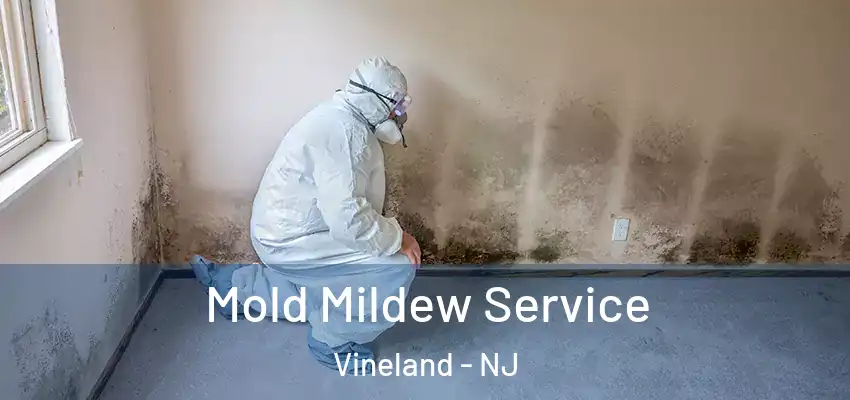  Mold Mildew Service Vineland - NJ
