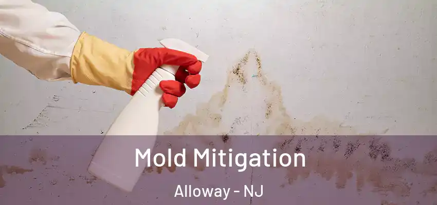 Mold Mitigation Alloway - NJ