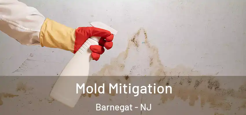  Mold Mitigation Barnegat - NJ