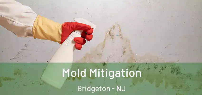 Mold Mitigation Bridgeton - NJ