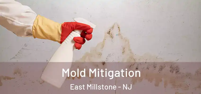  Mold Mitigation East Millstone - NJ