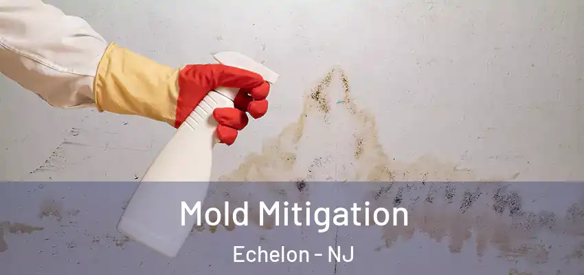 Mold Mitigation Echelon - NJ