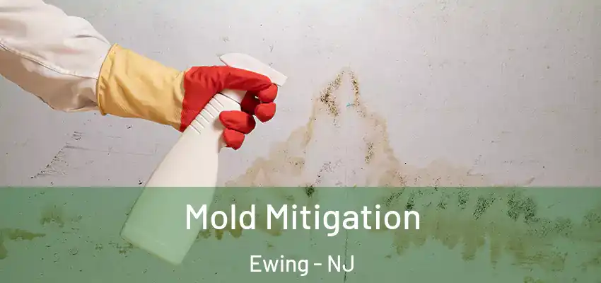 Mold Mitigation Ewing - NJ