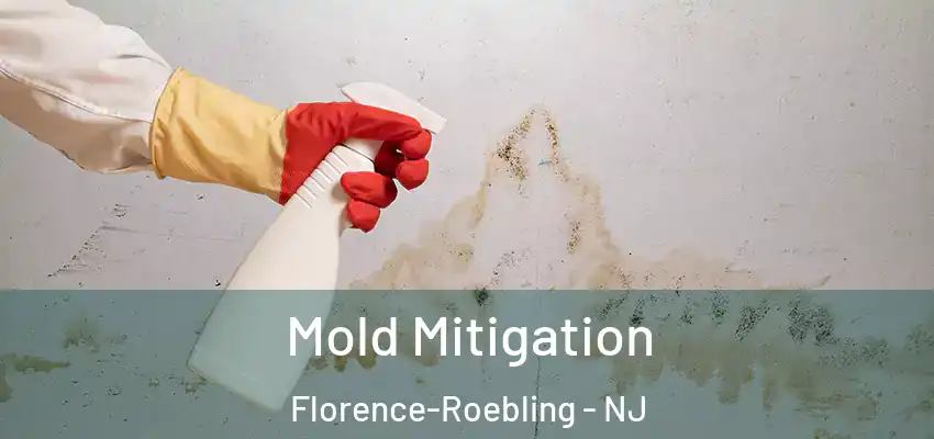  Mold Mitigation Florence-Roebling - NJ