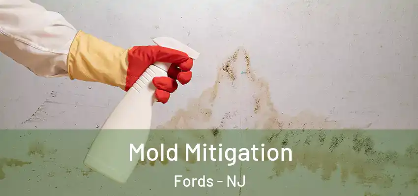  Mold Mitigation Fords - NJ
