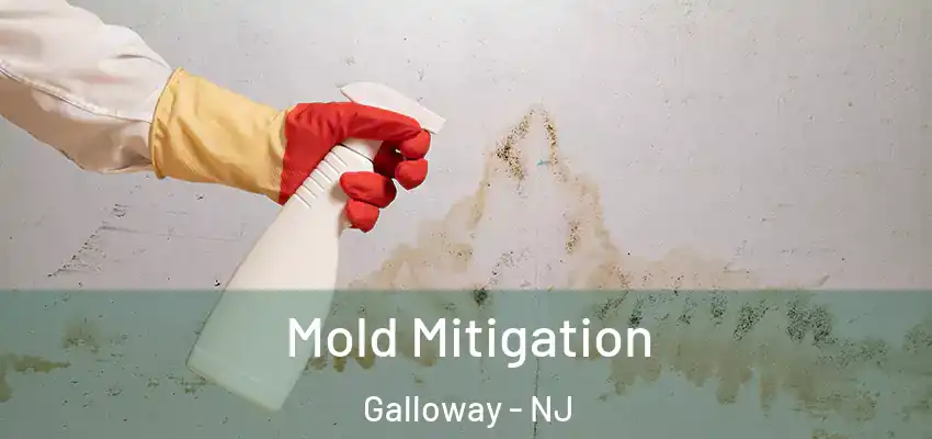 Mold Mitigation Galloway - NJ