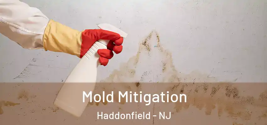 Mold Mitigation Haddonfield - NJ