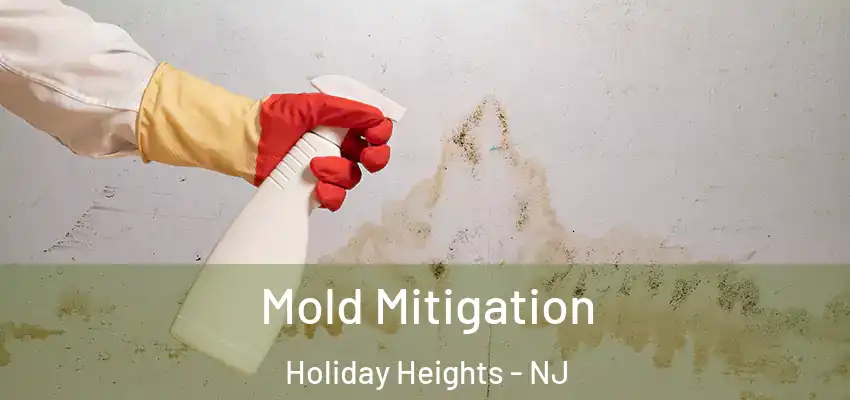  Mold Mitigation Holiday Heights - NJ