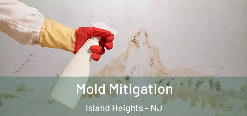  Mold Mitigation Island Heights - NJ