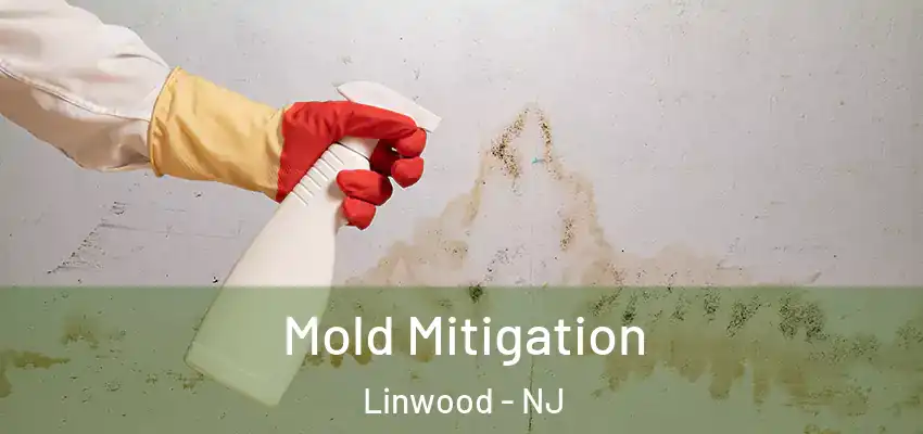  Mold Mitigation Linwood - NJ