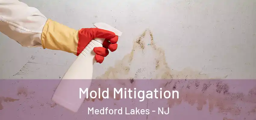 Mold Mitigation Medford Lakes - NJ