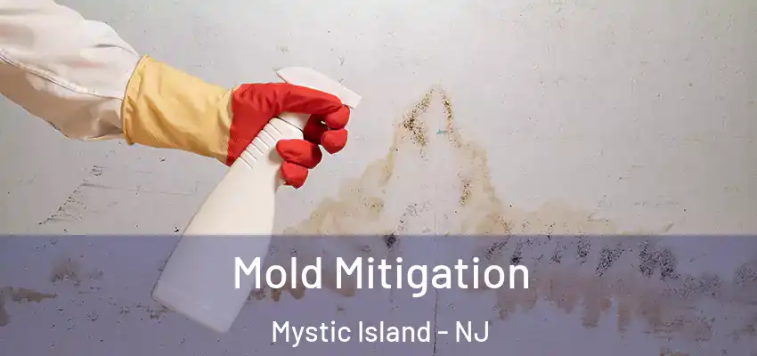 Mold Mitigation Mystic Island - NJ